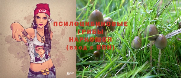 дурь Алзамай